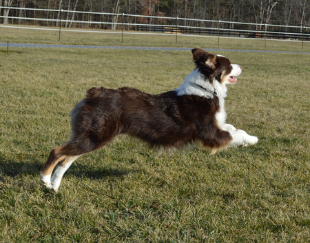 Huey
