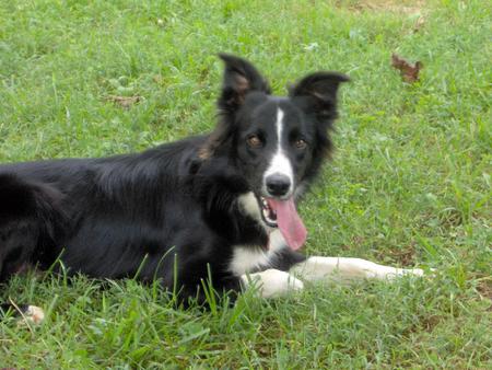Morris