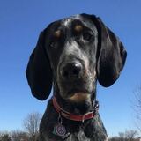 Entry image for Wyatt