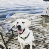 Entry image for Cash