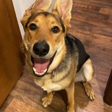 Entry image for Junie