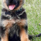 Entry image for Loki