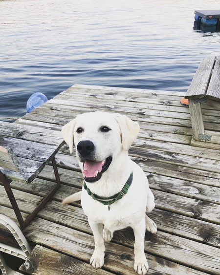 Entry image for Cash. Clicking this image will show a larger photo