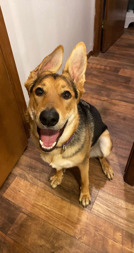 Entry image for Junie. Clicking this image will show a larger photo