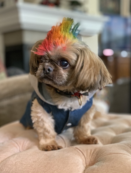 Mac