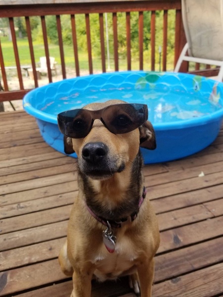 Lexi