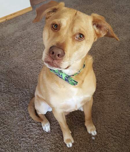 COOPER