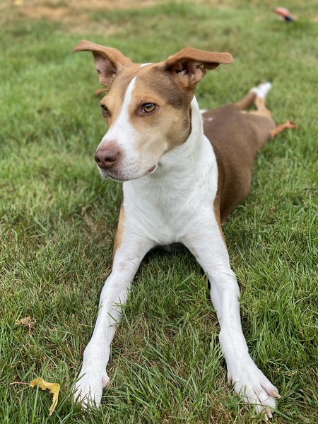Skye