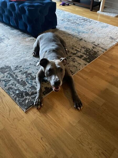 Lola 