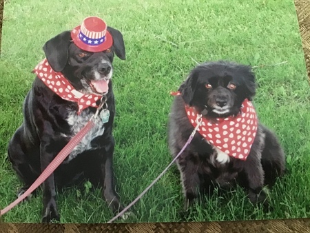 Rascal, the one with the hat on!