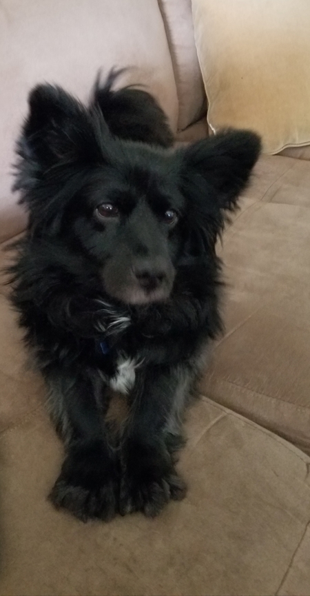 Sirius