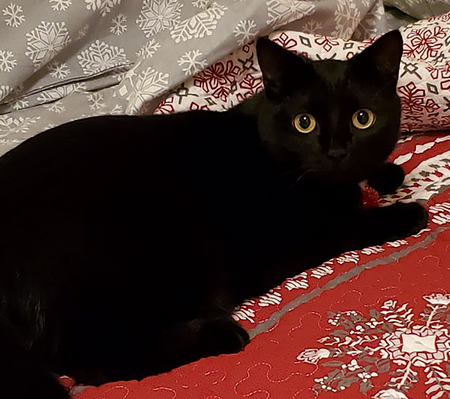 Audrey