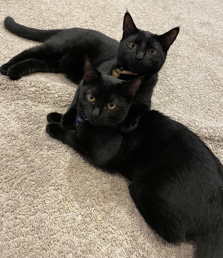 Felix and Luna