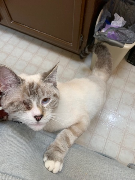 Freya
