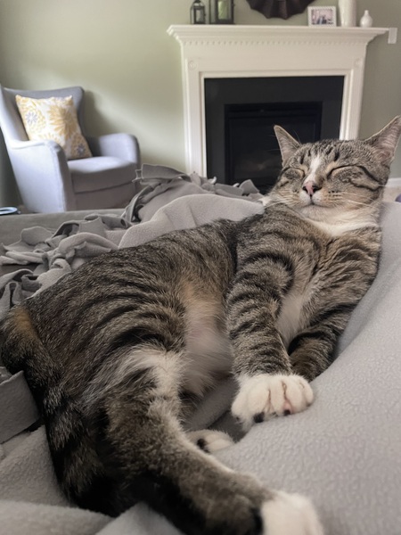 Furrankie
