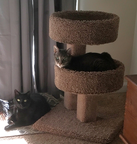Alvin & Theodore