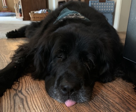Sophie
