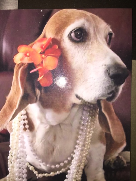 Maggie