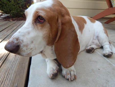 Abby