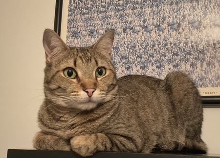 Tuck 