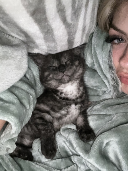 Luna 
