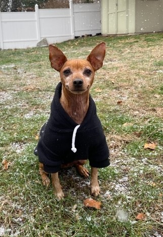 Gus
