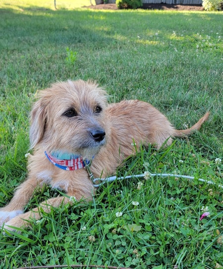 Sadie