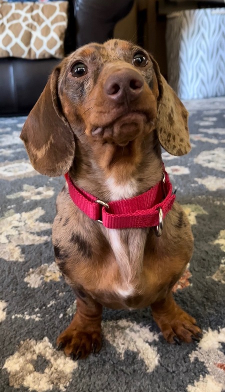 Monty