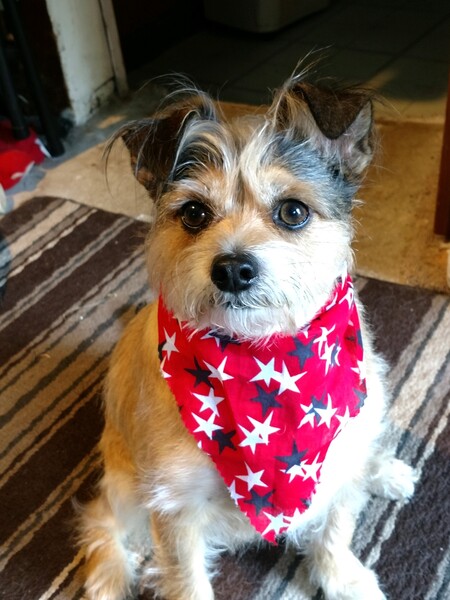 Charley