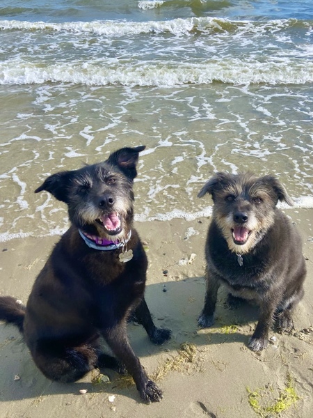 Max and Milo 