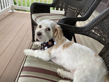 Max