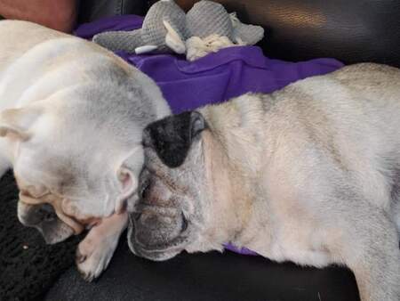 Winston and Lola