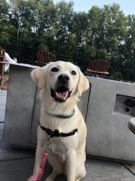 Bailey