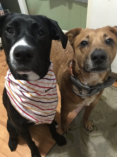 Lela & Louie
