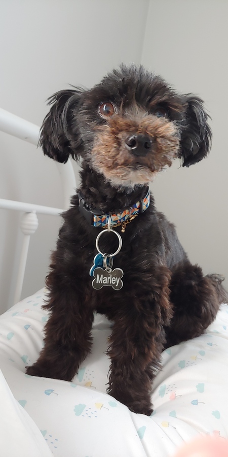 Marley 