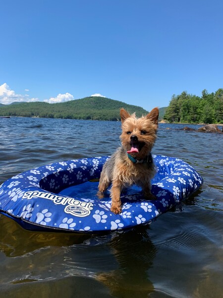 Finnegan