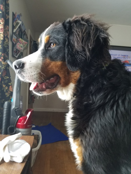 Cooper
