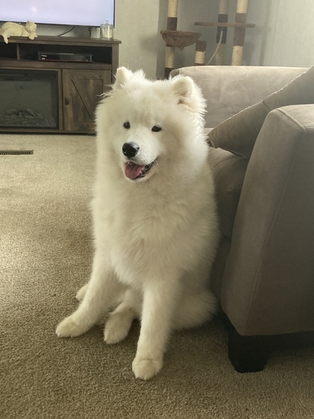 RALPHIE