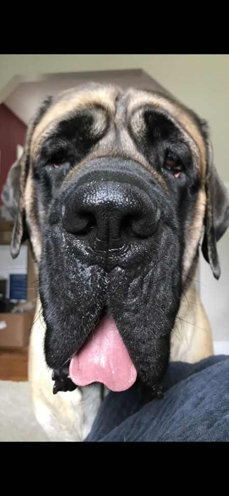 Nala- “Big Momma”