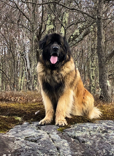 Quincy