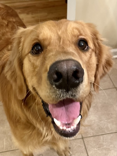 Zeke
