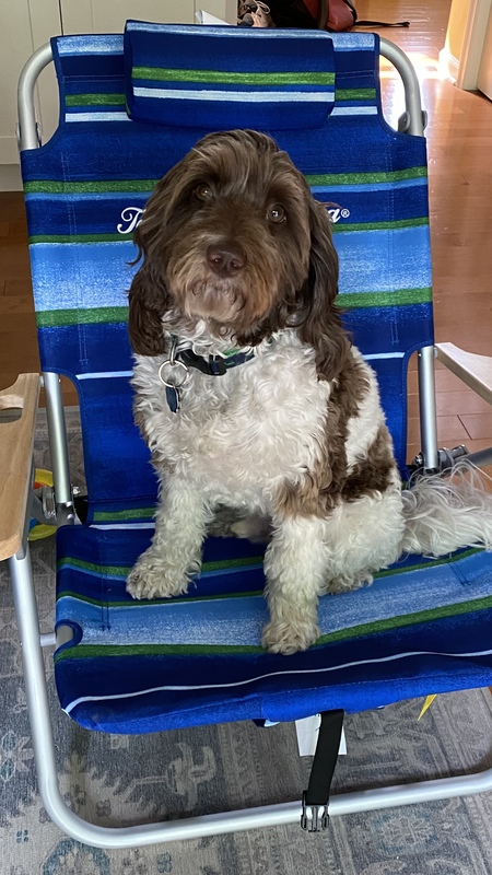 Archie