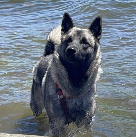 Freyja