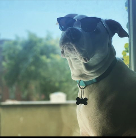 Tuukka