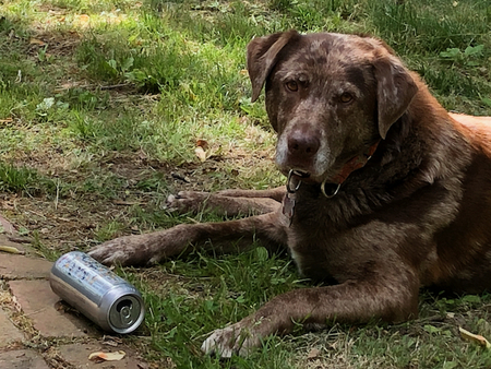 Porter
