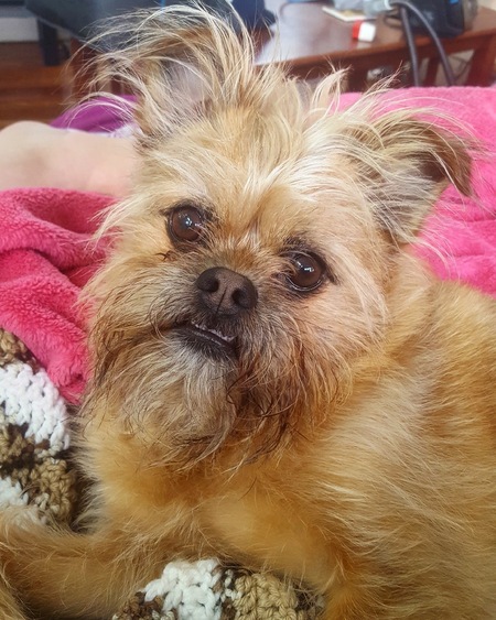 Jax