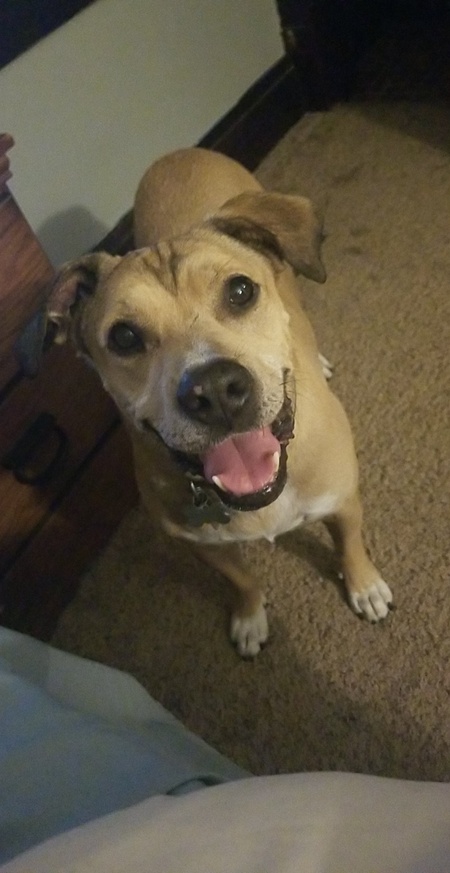 Murphy