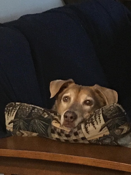 Abby
