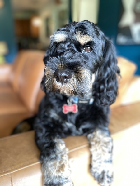 Leroy