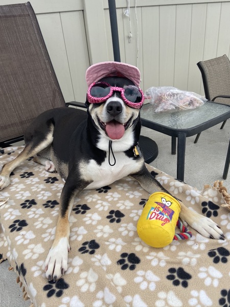 Stella